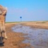 Красная книга против находки: астраханский водитель рискует получить срок за тушу сайгака