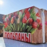 Полсотни протоколов составили в Белогорске за незаконную продажу цветов