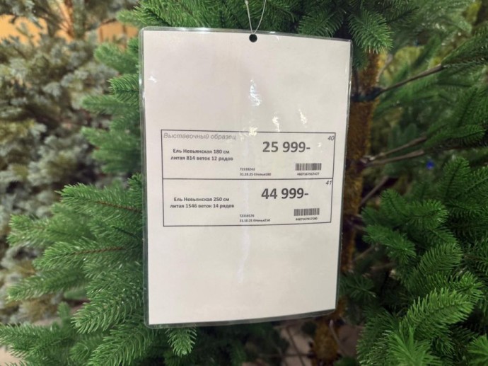 Ёлки‑палки! Во Владивостоке продавцы явно переоценили новогодний декор Ёлки‑палки! Во Владивостоке продавцы явно переоценили новогодний декор