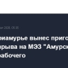 Суд в Приамурье вынес приговор по факту взрыва на МЭЗ "Амурский" и гибели рабочего