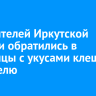 107 жителей Иркутской области обратились в больницы с укусами клещей за неделю