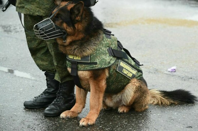 В Туле из-за неразорвавшейся части беспилотника эвакуировали четыре многоэтажки В Туле из-за неразорвавшейся части беспилотника эвакуировали четыре многоэтажки