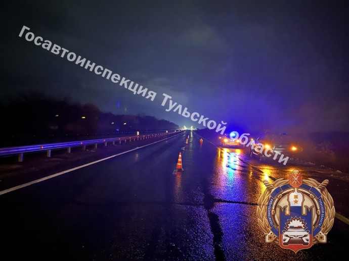 На трассе М-4 под Ефремовом автомобиль насмерть сбил пешехода