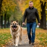 Новая ниша на рынке труда: как любовь к собакам превратилась в востребованную профессию