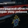 В Ленинградской области в санатории умер ребенок