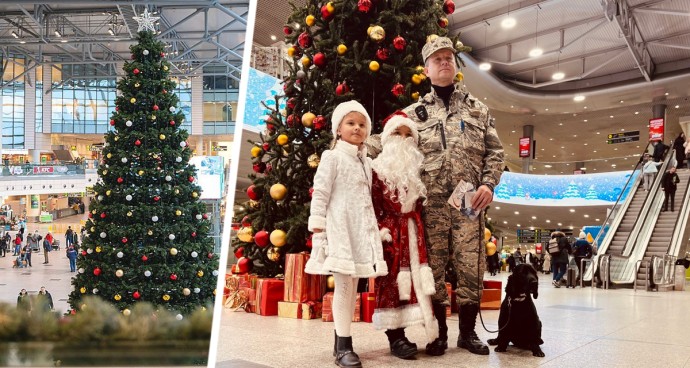 Домодедово дарит праздник: аэропорт встречает пассажиров новогодней елкой и сюрпризами