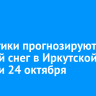 Синоптики прогнозируют мокрый снег в Иркутской области 24 октября