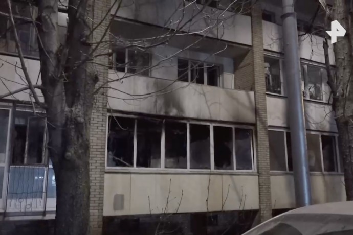 Четыре кошки погибли при пожаре в жилом доме на юго-западе Москвы