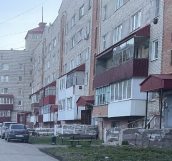 В Чамзинке мужчина осужден на 1 год 3 месяца лишения свободы за ножевое ранение знакомому
