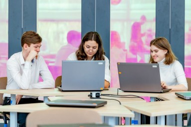 В СФ призвали обязать школы, колледжи и вузы использовать российское ПО