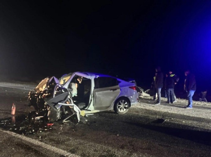 Найден владелец рогатого виновника смертельного ДТП под Астраханью Найден владелец рогатого виновника смертельного ДТП под Астраханью