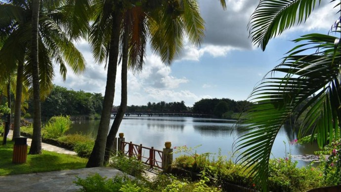 Назван топ направлений для отдыха на Новый год — 2026 Назван топ направлений для отдыха на Новый год — 2026