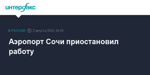 Аэропорт Сочи приостановил работу
