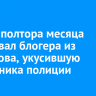 Суд на полтора месяца арестовал блогера из Шелехова, укусившую сотрудника полиции