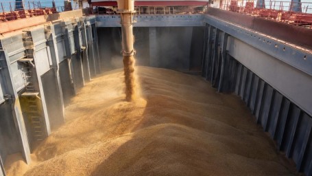 Российское зерно хотят пустить в обход: Латвия добивается запрета, способного изменить карту поставок
