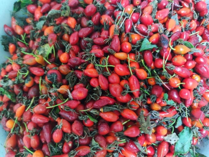 Вкусный детокс и кладезь витаминов: топ-7 осенних суперфудов для жителей Башкирии Вкусный детокс и кладезь витаминов: топ-7 осенних суперфудов для жителей Башкирии