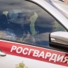 Пьяный москвич ворвался в детский сад в надежде поспать и был задержан Росгвардией