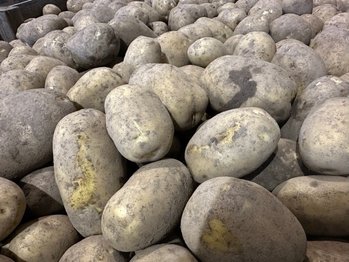 Костромичам раскрыли адреса мест, где можно купить продукты со скидкой до 20 процентов