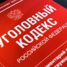 В РФ предложили штрафовать за повторную продажу энергетиков детям