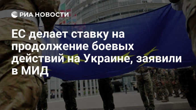 ЕС делает ставку на продолжение боевых действий на Украине, заявили в МИД