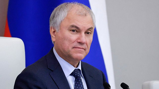 Председатель ГД рассказал, сколько законов принято для борьбы с нелегальной миграцией
