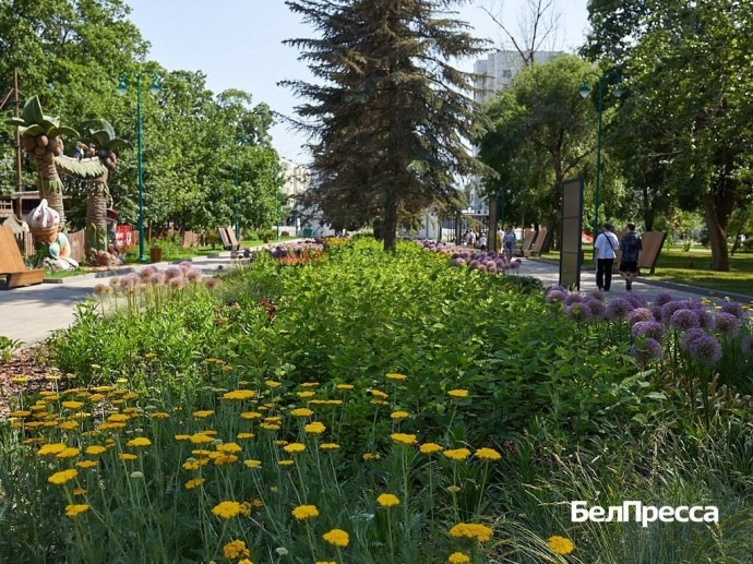 Как отдохнуть белгородцам 12–15 июня