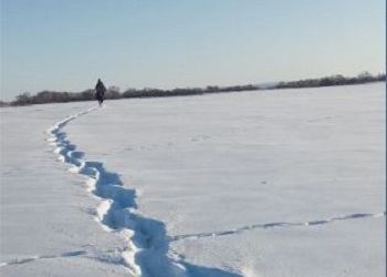 В Приамурье досрочно завершили зимние маршрутные учеты в заказниках