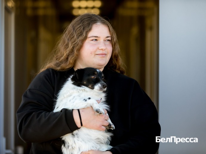 Тишкино чудо. Приют для животных в Яковлевском округе возобновил работу после атаки БПЛА Тишкино чудо. Приют для животных в Яковлевском округе возобновил работу после атаки БПЛА