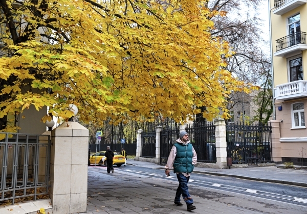 Евгений Тишковец назвал минувшую ночь в Москве по-настоящему «майской» Евгений Тишковец назвал минувшую ночь в Москве по-настоящему «майской»