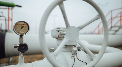 Уитакер: США ждут отказа Турции, Словакии и Венгрии от российского газа Уитакер: США ждут отказа Турции, Словакии и Венгрии от российского газа