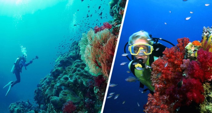 Греция уходит под воду – древние затонувшие корабли станут доступны дайверам Греция уходит под воду – древние затонувшие корабли станут доступны дайверам