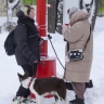 В Гидрометцентре предупредили москвичей о сильных морозах уже в выходные