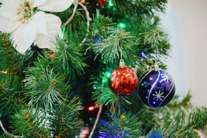 За установку новогодней ели на Соборной площади в Пензе заплатят более 400 тысяч За установку новогодней ели на Соборной площади в Пензе заплатят более 400 тысяч