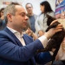 Котенок из курского приграничья станет артистом театра Юрия Куклачёва