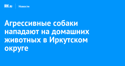 Агрессивные собаки нападают на домашних животных в Иркутском округе