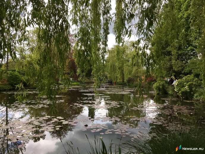 В Слободском районе в пруду посреди леса обнаружили машину с трупом внутри