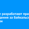 Ученые разработают правила наблюдения за байкальскими нерпами