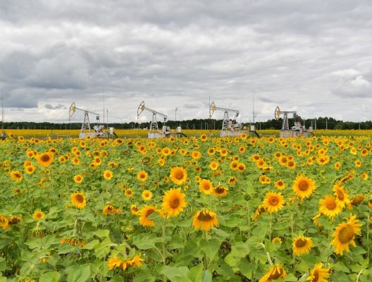 Россия поправила нефтегазовые доходы в октябре