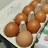 Яйца подешевели на 2 процента за неделю