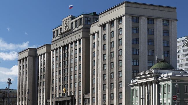 В ГД предложили рассмотреть вопрос бесплатного проезда детей в лагеря