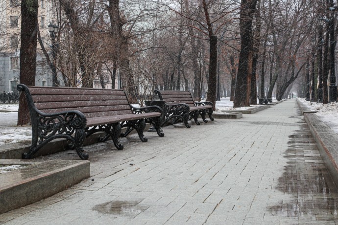 Синоптик Цыганков: В Москве прогнозируется теплая погода с дождями