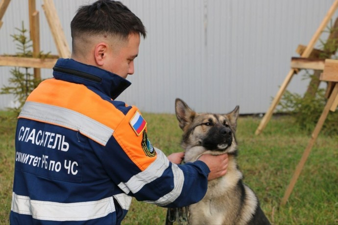 У спасателей Башкирии появился пушистый и верный «антистресс» У спасателей Башкирии появился пушистый и верный «антистресс»