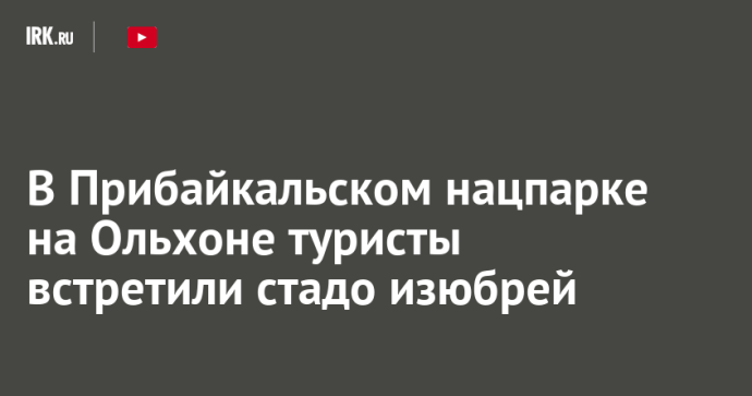 В Прибайкальском нацпарке на Ольхоне туристы встретили стадо изюбрей