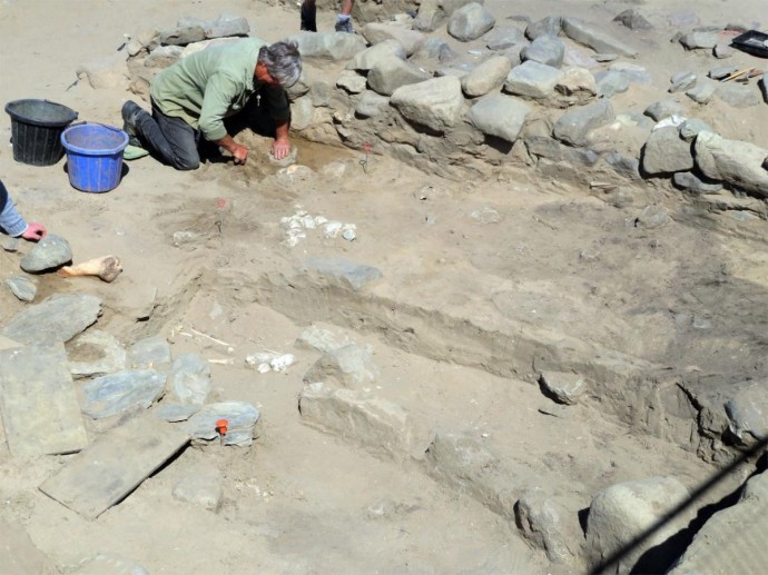 В Швейцарии спешно раскапывают гробницу железного века — AAFR