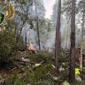 Опубликованы кадры с места крушения самолета в Амурской области