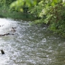 Курская область получит финансирование на реконструкцию водохранилища в Щетинке