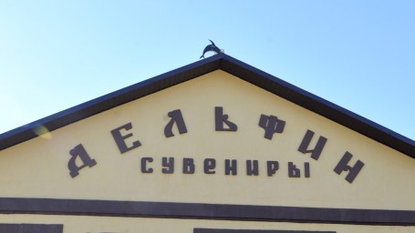 Магазин при «Чёрном дельфине» заработал миллионы на продаже фигурок из хлебного мякиша