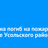 Мужчина погиб на пожаре в поселке Усольского района