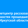 Гидрометцентр рассказал об особенностях прошедшего лета в Иркутской области