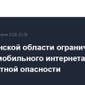 В Пензенской области ограничена работа мобильного интернета на фоне беспилотной опасности